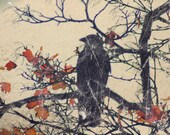 Autumn Crow, Crow on bare branches with coppery autumn leaves, corvid corvidae, crow photo, black, copper leaves, 8 x 8ins, autumn leaves