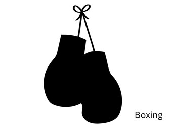 Boxing - Camper Van Decal • Vinyl Sticker --Art.008--