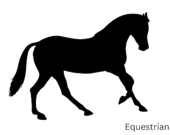 Equestrian - Camper Van Decal • Vinyl Sticker --Art.019--