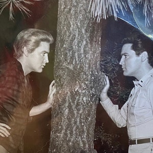 Elvis Presley Kissin&#39; Cousins movie promo photo 8 x 10