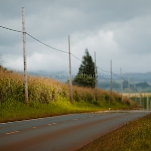 Back Road Digital Backdrop