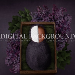 May include: A newborn baby swaddled in a dark purple knitted blanket, lying in a wooden box with a green lining. The box is surrounded by purple and green flowers.