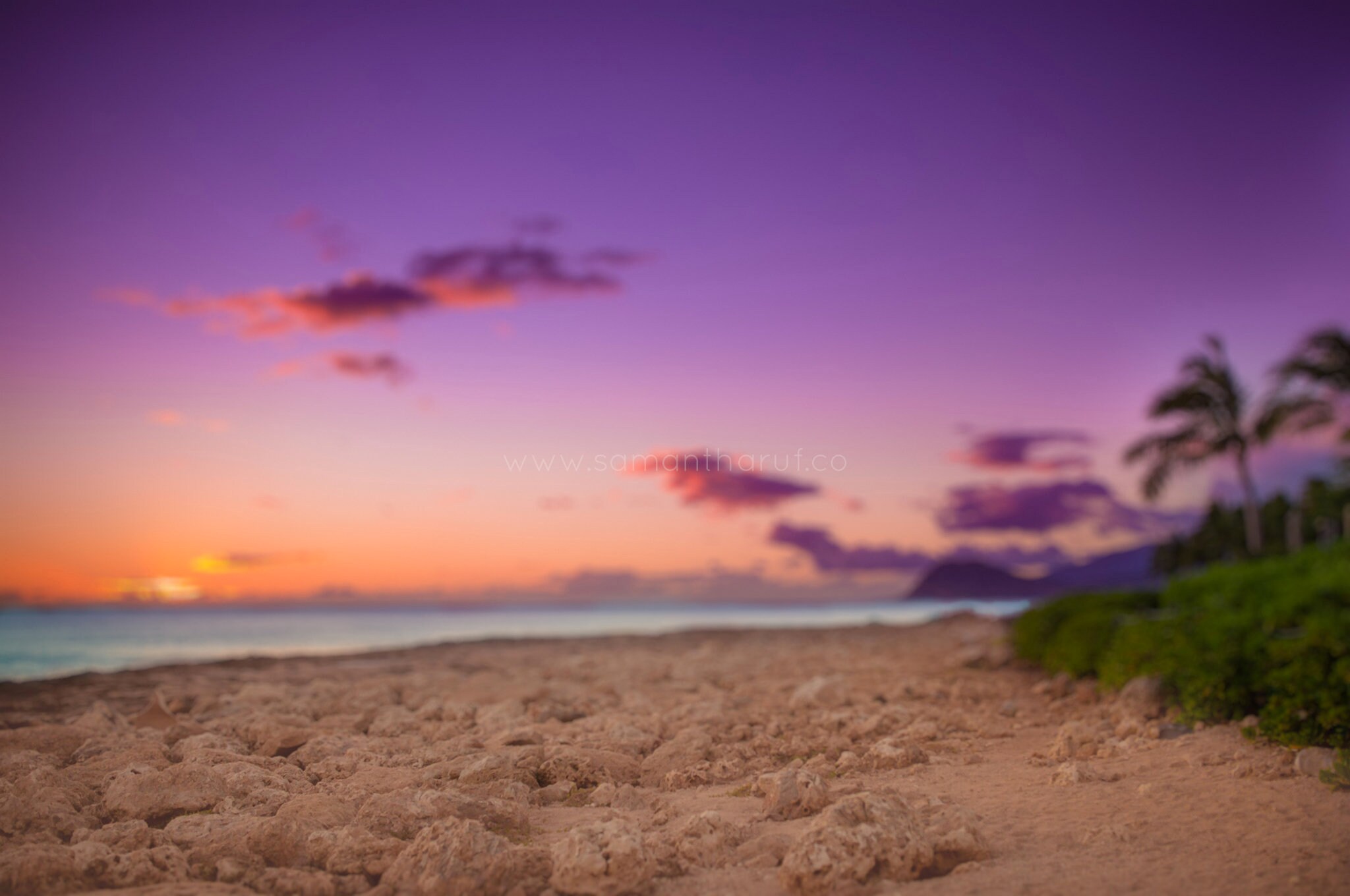 Sunset beach background deals