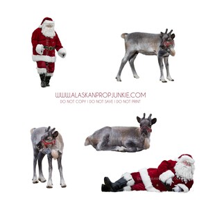 Santa's Baby Reindeer Collection Baby Reindeer, Reindeer Overlays, Santa's Reindeer image 2