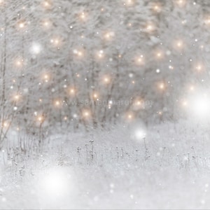 Snowy Path Christmas Lights Digital Backdrop