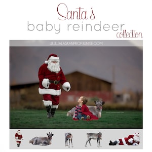 Santa's Baby Reindeer Collection Baby Reindeer, Reindeer Overlays, Santa's Reindeer image 1
