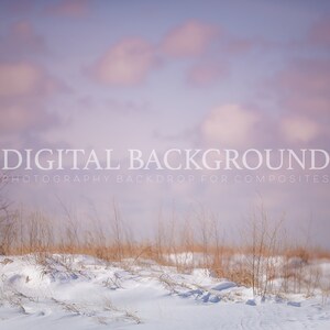 Purple Sunset Winter Digital Backdrop I Snowy Beach Grass Digital Background