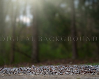 Bokeh Rock Path Digital Backdrop I Dreamy Digital Background