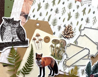 Junk Journal Paper Kit Grab Bag, Woodland Forest Nature, Scrapbooking, Collage Art, Maps, Old Book Pages, Stickers and More, Over 50 pieces