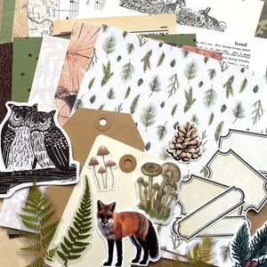 Junk Journal Paper Kit Grab Bag, Woodland Forest Nature, Scrapbooking, Collage Art, Maps, Old Book Pages, Stickers and More, Over 50 pieces image 1