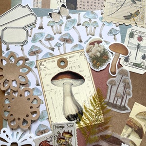 Junk Journal Supplies Grab Bag, Mushroom Garden, Scrapbooking, Collage Art, Ephemera, Old Book Pages, Stickers and More, Over 50 pieces