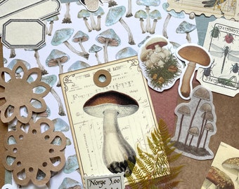 Junk Journal Supplies Grab Bag, Mushroom Garden, Scrapbooking, Collage Art, Ephemera, Old Book Pages, Stickers and More, Over 50 pieces