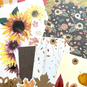 Junk Journal Paper Kit Grab Bag, Autumn Woods Theme, Fall Scrapbooking, Collage Art, Maps, Old Book Pages, Stickers and More, Over 50 pieces image 1