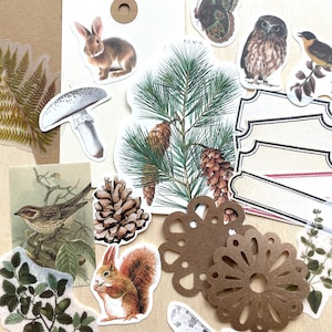 Junk Journal Paper Kit Grab Bag, Woodland Forest Nature, Scrapbooking, Collage Art, Maps, Old Book Pages, Stickers and More, Over 50 pieces image 2