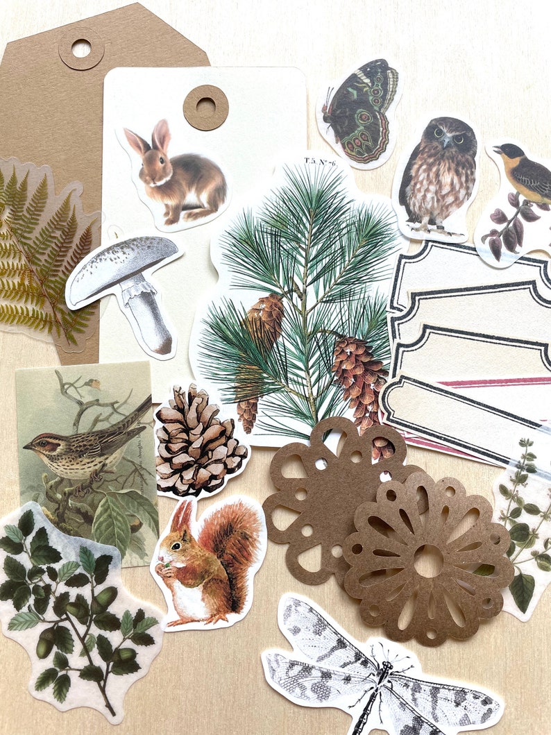 Junk Journal Paper Kit Grab Bag, Woodland Forest Nature, Scrapbooking, Collage Art, Maps, Old Book Pages, Stickers and More, Over 50 pieces image 2