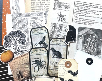 Junk Journal Paper Kit Grab Bag, Halloween Theme, Scrapbooking, Collage Art, Maps, Old Book Pages, Stickers and More, Over 50 pieces