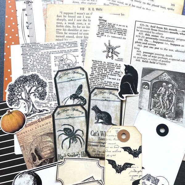 Junk Journal Paper Kit Grab Bag, Halloween Theme, Scrapbooking, Collage Art, Maps, Old Book Pages, Stickers and More, Over 50 pieces