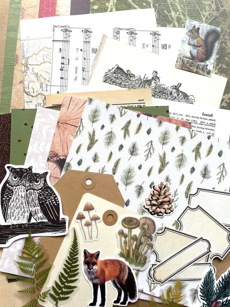 Junk Journal Paper Kit Grab Bag, Woodland Forest Nature, Scrapbooking, Collage Art, Maps, Old Book Pages, Stickers and More, Over 50 pieces image 1
