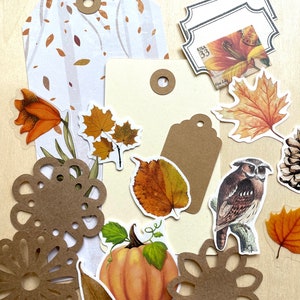Junk Journal Paper Kit Grab Bag, Autumn Woods Theme, Fall Scrapbooking, Collage Art, Maps, Old Book Pages, Stickers and More, Over 50 pieces image 2