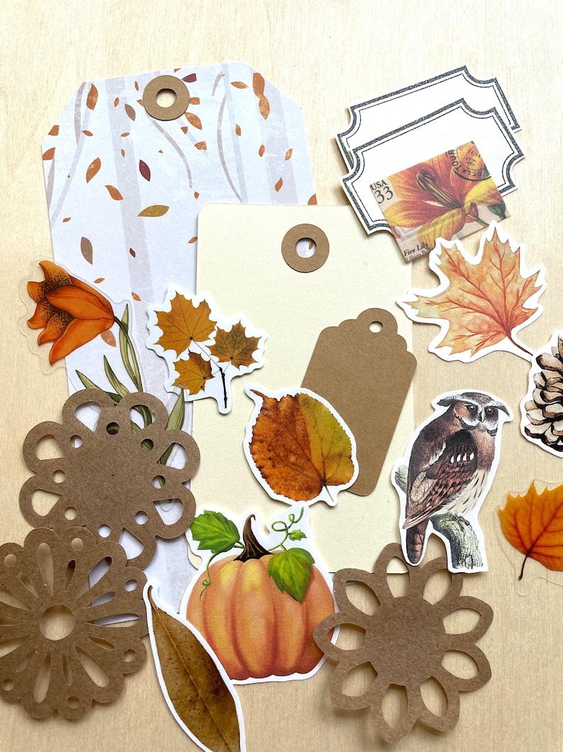 Junk Journal Paper Kit Grab Bag, Autumn Woods Theme, Fall Scrapbooking, Collage Art, Maps, Old Book Pages, Stickers and More, Over 50 pieces image 2