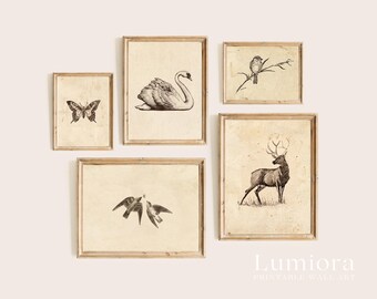 120+ Vintage Sketch Wall Art Set, Minimalist Sketch Print, Antique Sketches, European Sketch, Botanical Sketch, Portrait Sketch Gallery, image 9