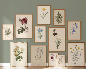 850+ Vintage Print Bundle, Antique Wall Art Set, Rustic Gallery Set, French Country Decor, Cottagecore Prints, image 19