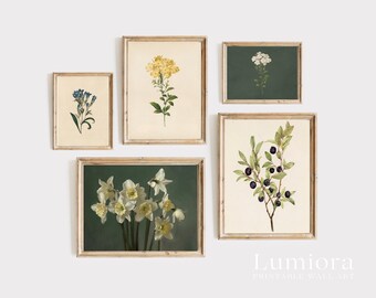 100+ Botanical Prints Set, Floral Wall Art Bundle, Botanical Drawings & Flower Sketches, Digital Download Gallery Wall Set, image 13