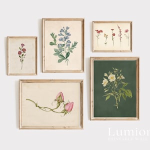 May include: Five framed botanical prints featuring vintage illustrations of flowers and plants. The prints showcase a variety of floral arrangements, including blue, pink, and white blooms, set against neutral and dark green backgrounds. The frames are a light brown color.