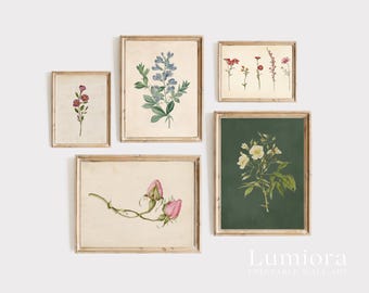 100+ Botanical Prints Set, Floral Wall Art Bundle, Botanical Drawings & Flower Sketches, Digital Download Gallery Wall Set, image 8