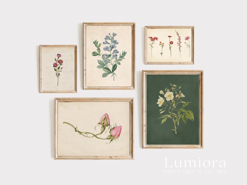 May include: Five framed botanical prints featuring vintage illustrations of flowers and plants. The prints showcase a variety of floral arrangements, including blue, pink, and white blooms, set against neutral and dark green backgrounds. The frames are a light brown color.