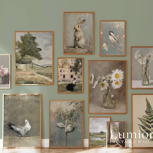 May include: A collection of framed vintage-style art prints. The prints feature various subjects, including a rabbit, birds, flowers, landscapes, and a fern. The frames are a warm brown color, and the overall aesthetic is rustic and charming.