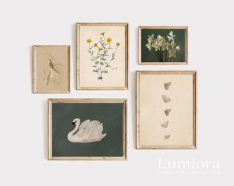 400+ French Country Decor, Neutral Gallery Wall, Cottagecore Decor, Vintage Print Bundle, Farmhouse Prints, Cottage Gallery Set, image 12