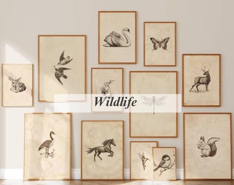 120+ Vintage Sketch Wall Art Set, Minimalist Sketch Print, Antique Sketches, European Sketch, Botanical Sketch, Portrait Sketch Gallery, image 4