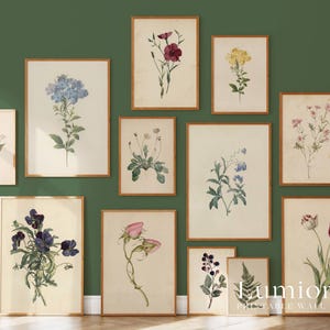 100+ Botanical Prints Set, Floral Wall Art Bundle, Botanical Drawings & Flower Sketches, Digital Download Gallery Wall Set image 2