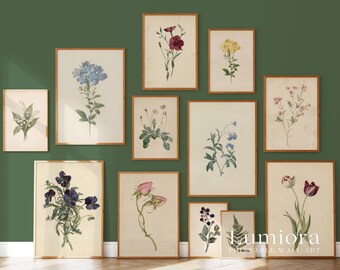 100+ Botanical Prints Set, Floral Wall Art Bundle, Botanical Drawings & Flower Sketches, Digital Download Gallery Wall Set, image 3