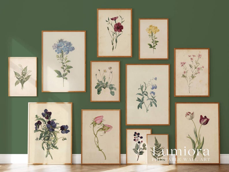 100+ Botanical Prints Set, Floral Wall Art Bundle, Botanical Drawings & Flower Sketches, Digital Download Gallery Wall Set image 2