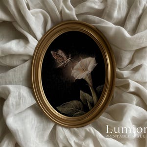 May include: An oval, gold-framed print depicting a moth and a white flower on a dark backdrop. The artwork has a vintage style, with the text "Lumion Printable Wall" at the bottom. The print is set against a backdrop of draped, off-white fabric.