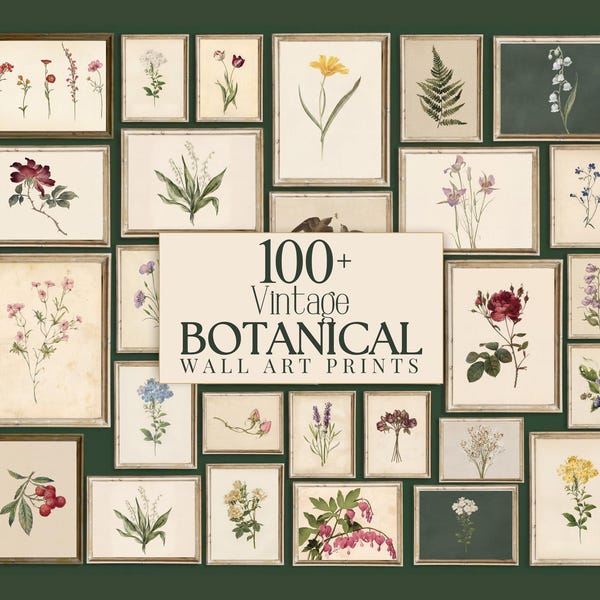 Original Botanitcal Prints Vintage Botanical Prints - Etsy