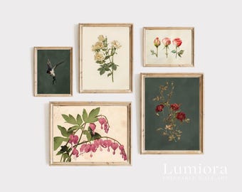 100+ Botanical Prints Set, Floral Wall Art Bundle, Botanical Drawings & Flower Sketches, Digital Download Gallery Wall Set, image 15