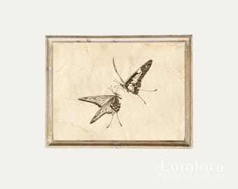 120+ Vintage Sketch Wall Art Set, Minimalist Sketch Print, Antique Sketches, European Sketch, Botanical Sketch, Portrait Sketch Gallery, image 15