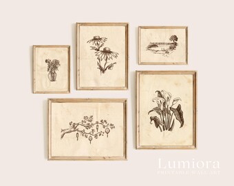 120+ Vintage Sketch Wall Art Set, Minimalist Sketch Print, Antique Sketches, European Sketch, Botanical Sketch, Portrait Sketch Gallery, image 8