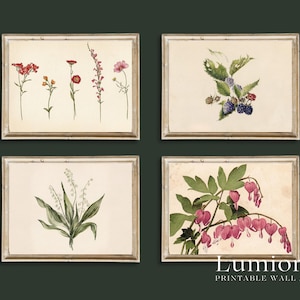 100+ Botanical Prints Set, Floral Wall Art Bundle, Botanical Drawings & Flower Sketches, Digital Download Gallery Wall Set image 6