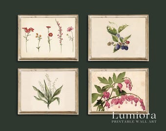100+ Botanical Prints Set, Floral Wall Art Bundle, Botanical Drawings & Flower Sketches, Digital Download Gallery Wall Set, image 7