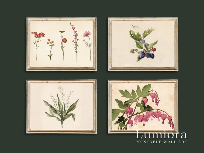 100+ Botanical Prints Set, Floral Wall Art Bundle, Botanical Drawings & Flower Sketches, Digital Download Gallery Wall Set image 6