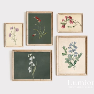 May include: Five framed botanical prints featuring floral illustrations. The prints showcase various flowers in shades of red, purple, white, and blue, set against backgrounds of cream and dark green. The frames are a light brown color.