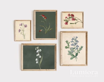 100+ Botanical Prints Set, Floral Wall Art Bundle, Botanical Drawings & Flower Sketches, Digital Download Gallery Wall Set, image 14