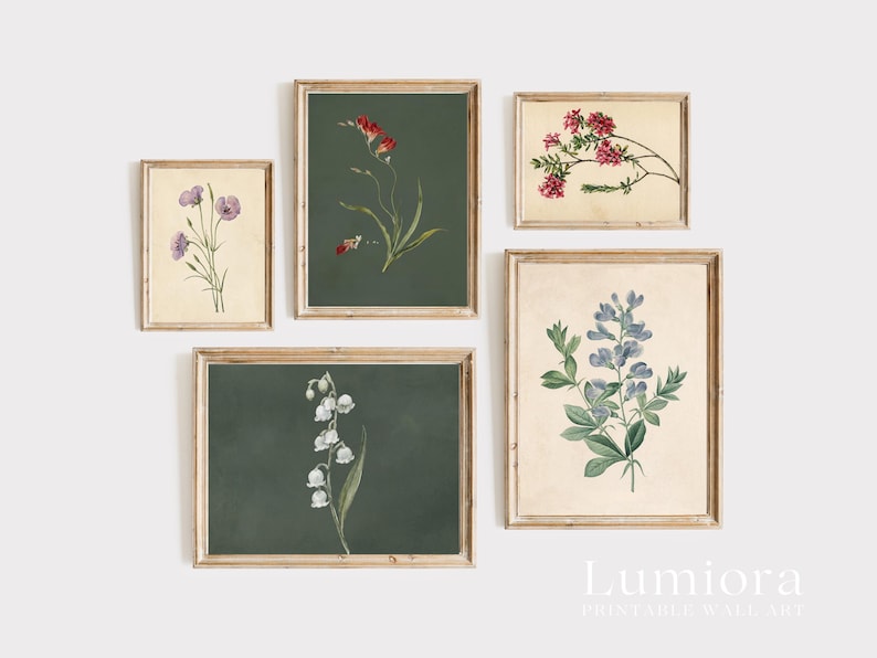 May include: Five framed botanical prints featuring floral illustrations. The prints showcase various flowers in shades of red, purple, white, and blue, set against backgrounds of cream and dark green. The frames are a light brown color.