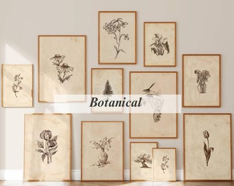 120+ Vintage Sketch Wall Art Set, Minimalist Sketch Print, Antique Sketches, European Sketch, Botanical Sketch, Portrait Sketch Gallery, image 3