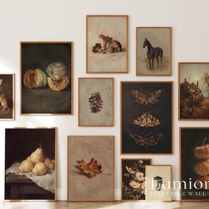 Puede incluir: Una colecci&oacute;n de pared de once l&aacute;minas de arte enmarcadas con bodegones oscuros de calabazas, peras, un rat&oacute;n, un caballo, polillas, una pi&ntilde;a, una hoja, flores y un paisaje, con el texto "lumiora PRINTABLE WALL ART".