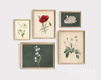 100+ Botanical Prints Set, Floral Wall Art Bundle, Botanical Drawings & Flower Sketches, Digital Download Gallery Wall Set, image 9